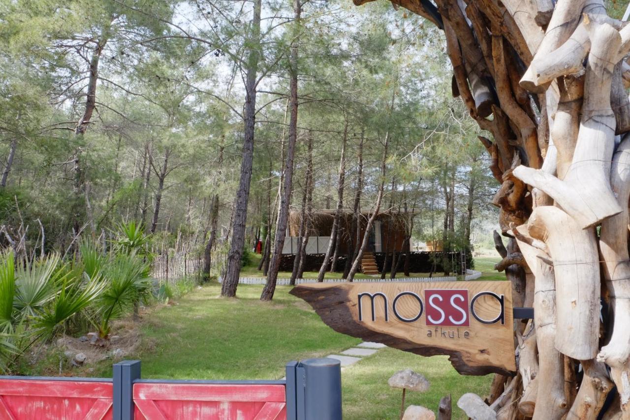 Mossa Afkule Kayakoey Hotel Fethiye Exterior photo